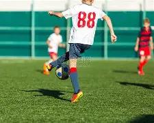 浙视新年盛,节目安排,明星亮相,神殿娱乐集团,神殿娱乐游戏,神殿娱乐集团,神殿娱乐官网,神殿娱乐