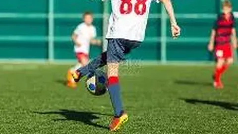 浙视新年盛典2025节目安排+明星亮相+演唱会启动时间